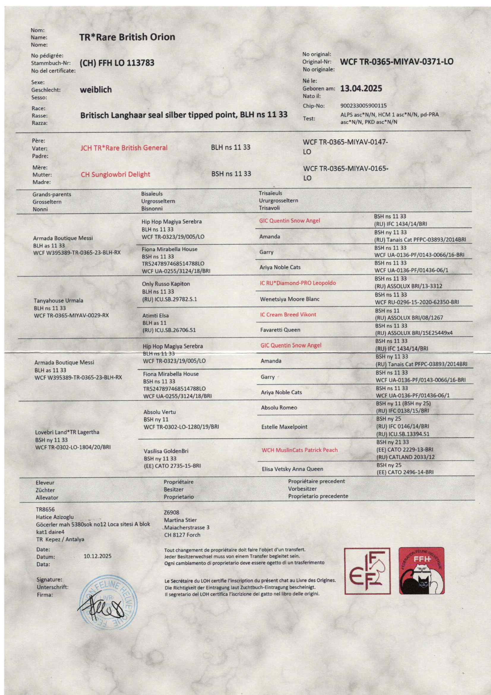 Rare British Orion, Rufname Orora