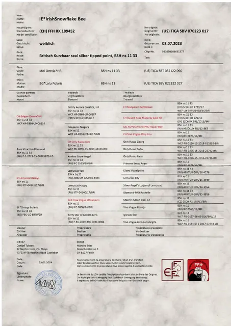 Stammbaum von IrishSnowflake Bee, geb. am 2.7.2023