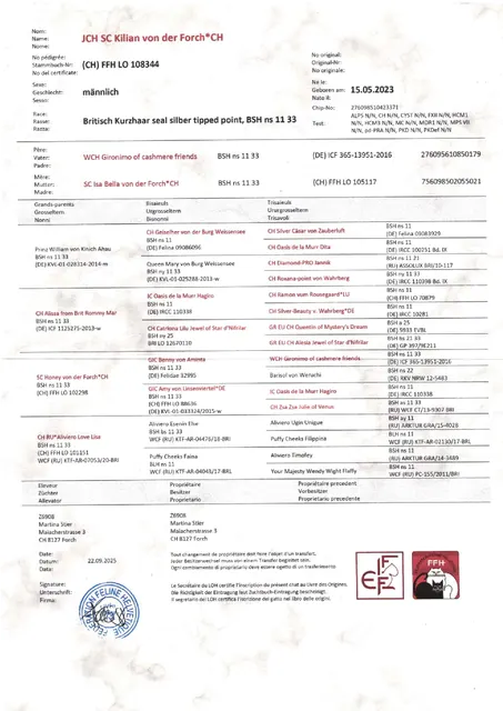 Stammbaum von Kilian von der Forch, geb. am 15.5.2023