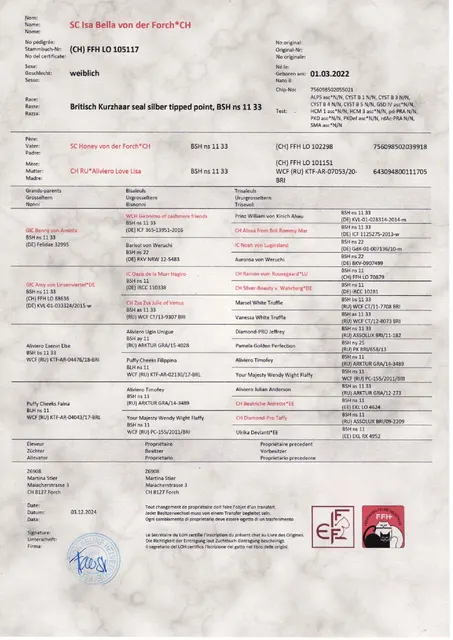 Stammbaum von Isa Bella von der Forch, geb. am 1.3.2022, BKH ns 1133