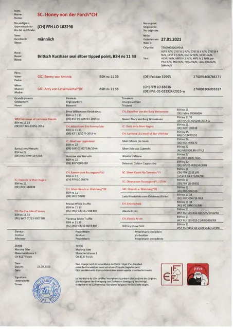 Stammbaum von Honey von der Forch, BKH ns 1133