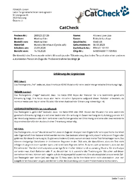 CatCheck von Feragen vom 16.10.2020