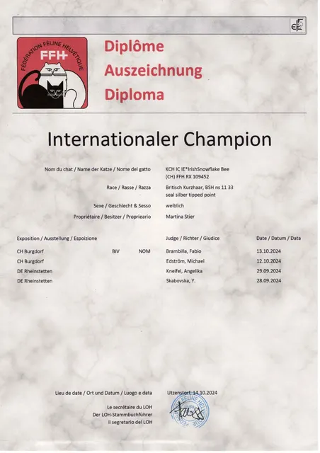 Titel KCH IC IrishSnowflake Bee