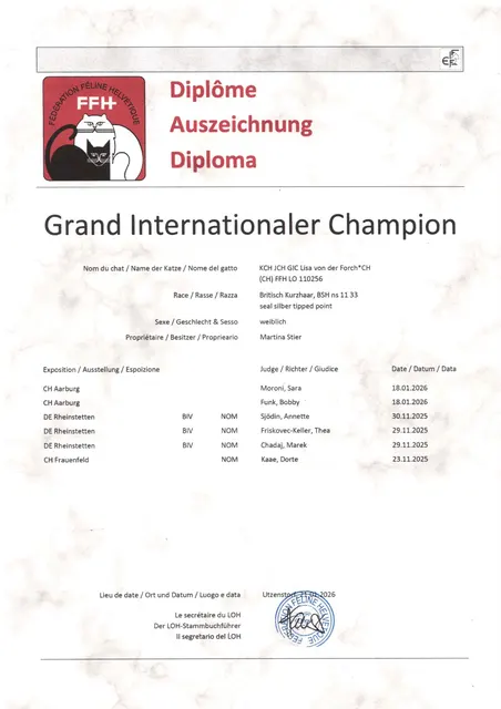 Titel KCH JCH GIC Lisa von der Forch