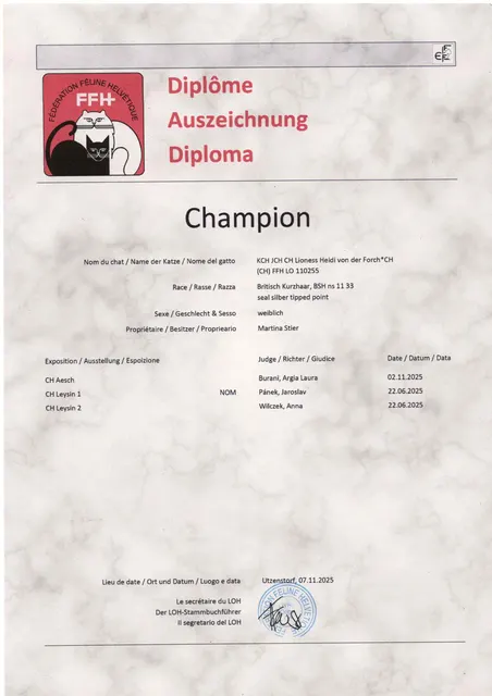 Titel KCH JCH CH Lioness Heidi von der Forch