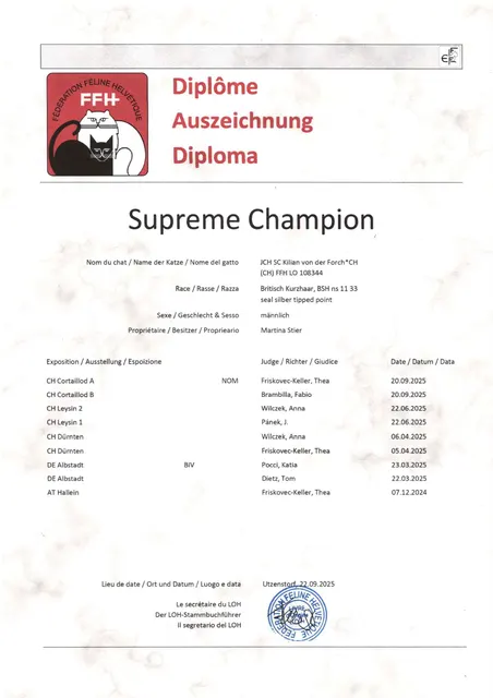 Urkunde Supreme Champion Kilian von der Forch