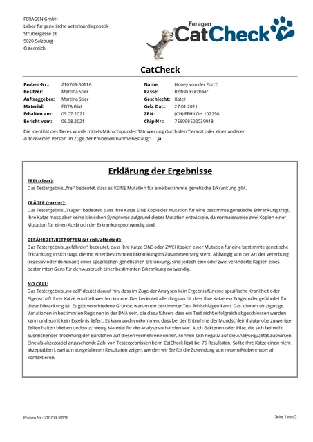CatCheck von Feragen vom 6.8.2021