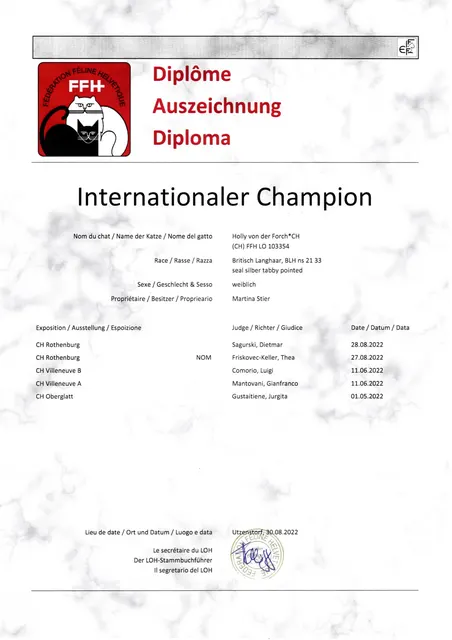 Urkunde IC Holly von der Forch