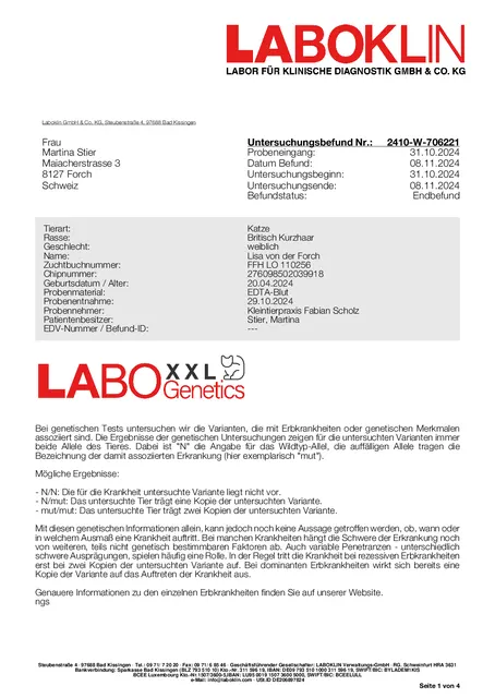 Laboklin XXL Test vom 29.10.2024