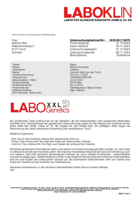 Laboklin XXL Test vom 29.10.2024