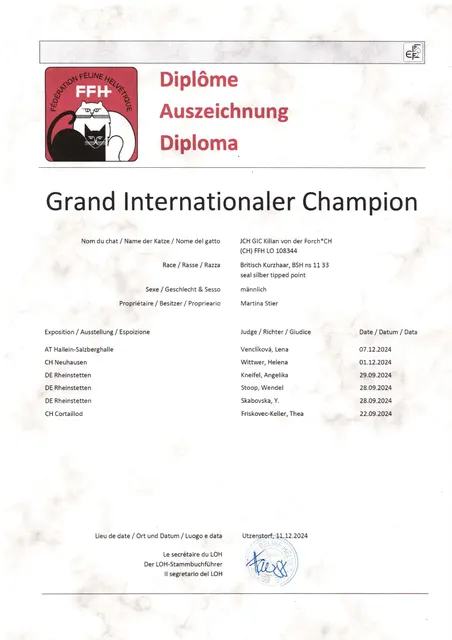 Urkunde GIC Kilian von der Forch