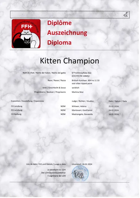 Titel Kitten Champion Bee
