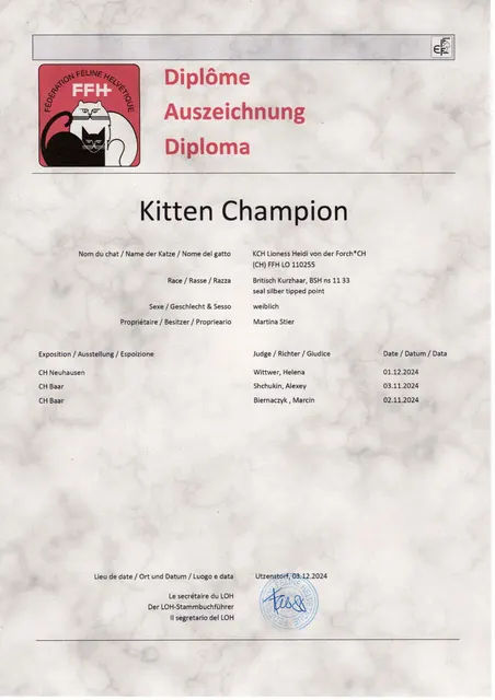 Titel KCH Lioness von der Forch