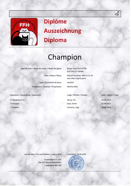 Urkunde Champion Ginger Rose Omnia