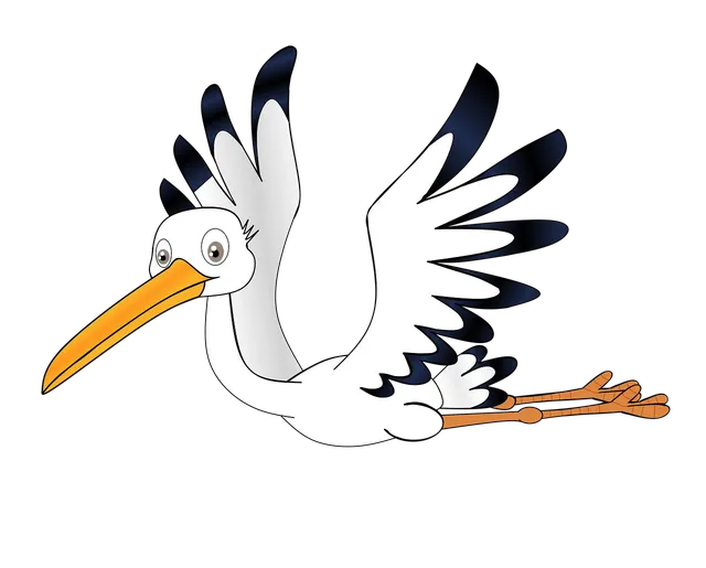 Storch