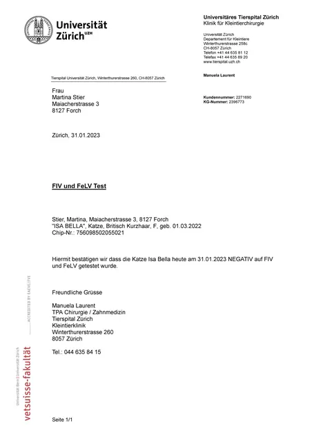 FIV FeLV Test 31 1 23