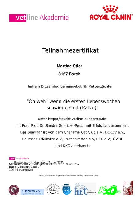 Zertifikat wenn die ersten Lebenswochen schwierig sind