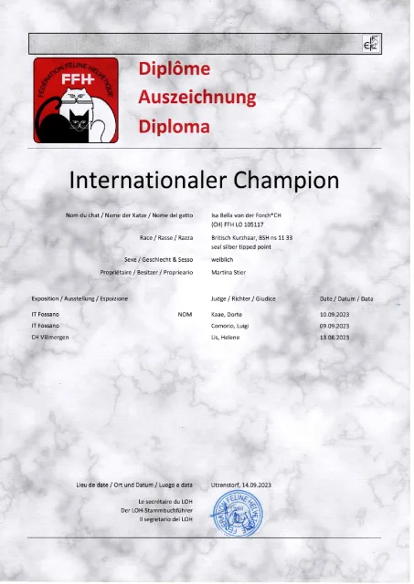 Urkunde Internationaler Champion Isa Bella von der Forch
