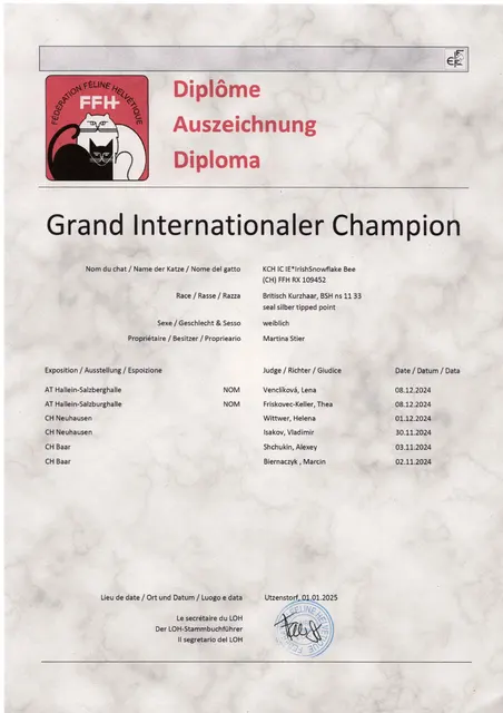 Titel KCH IC GIC IrishSnowflake Bee