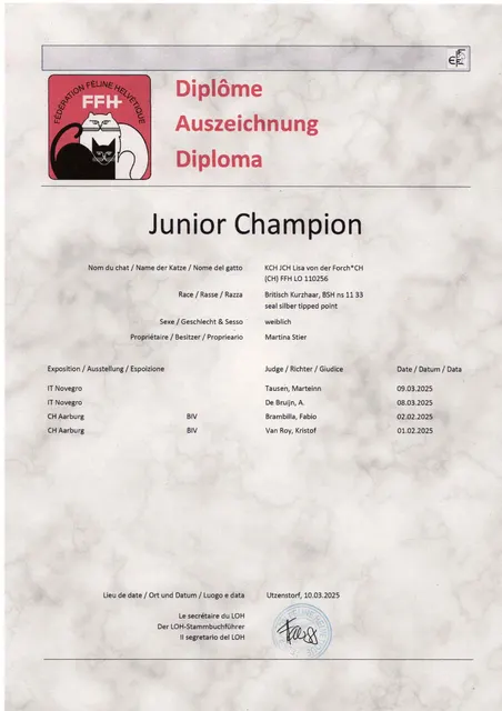 Titel KCH JCH Lisa von der Forch