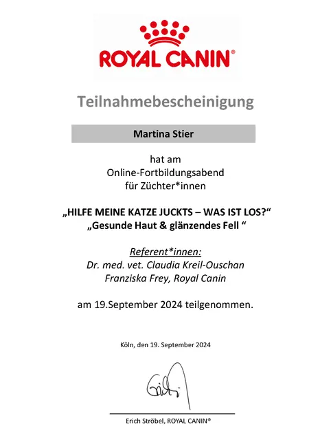 "Hilfe meine Katze juckts: Was ist los?"