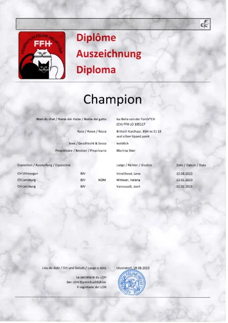 Urkunde Champion Isa Bella von der Forch