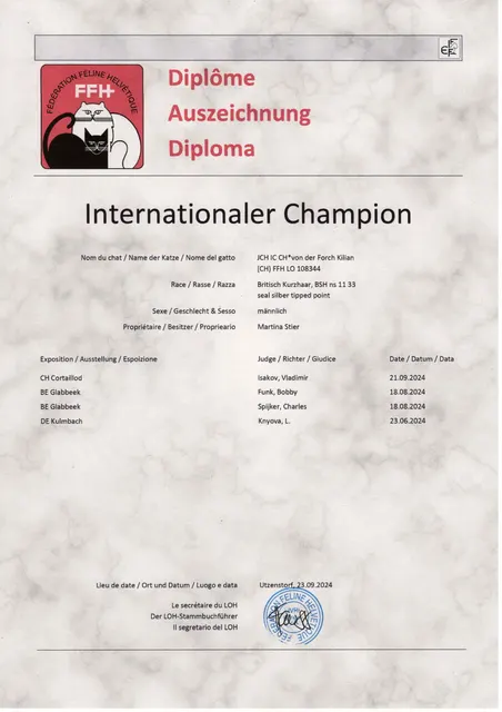 Urkunde IC Kilian von der Forch