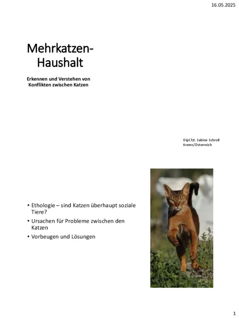 RC   Mehrkatzen Haushalt