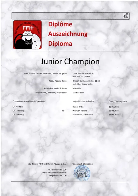JCH Urkunde Kilian von der Forch