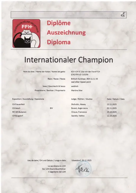 Titel KCH JCH IC Lisa von der Forch