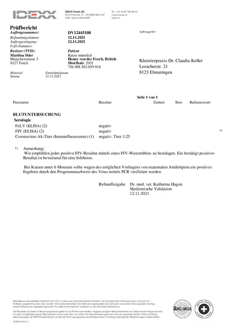 IDEXX Labor: FeLV/FIV-Test vom 12.11.2021