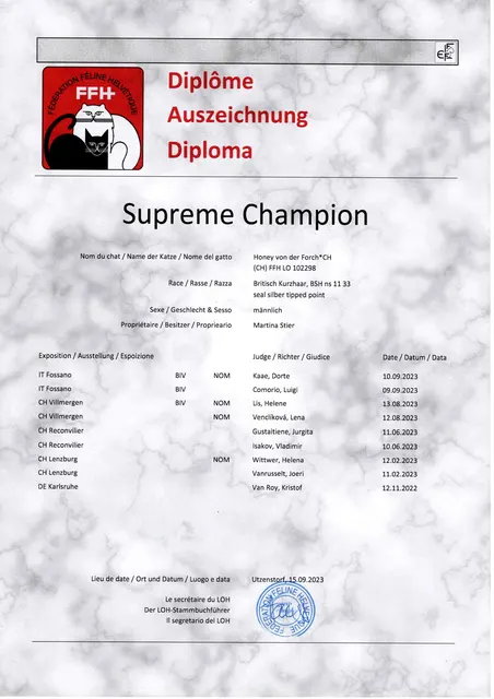 Urkunde Supreme Champion Honey von der Forch