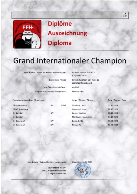 Urkunde Grand International Isa Bella von der Forch