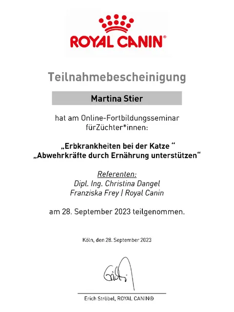 Erbkrankheiten bei der Katze