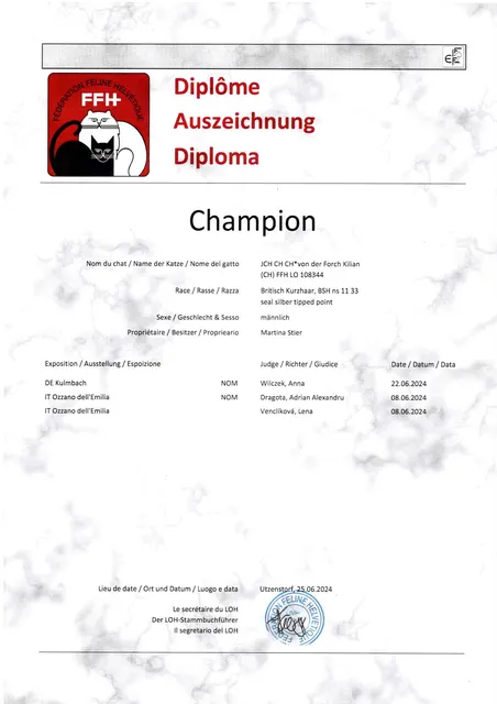 Urkunde CH Kilian von der Forch