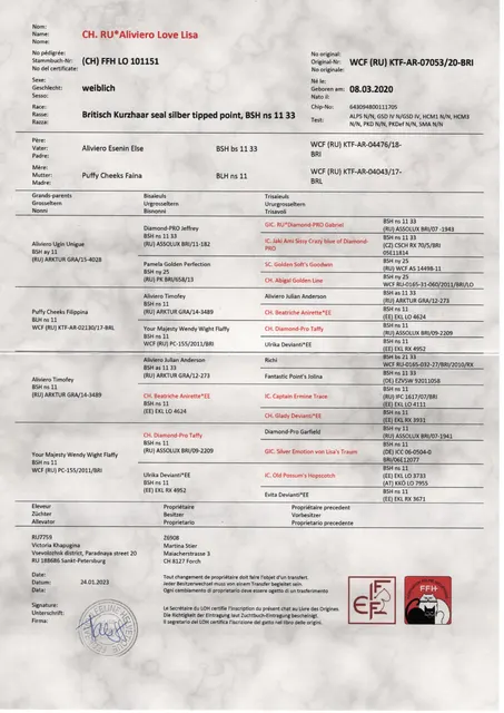 Stammbaum Aliviero Love Lisa