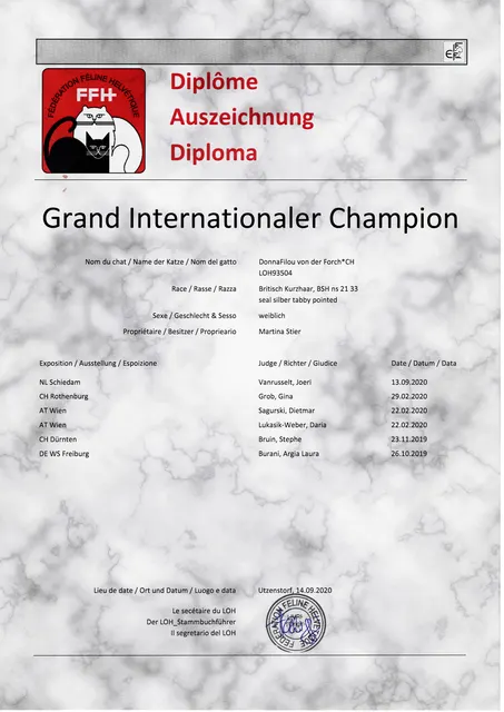 DonnaFilou Certificat GIC