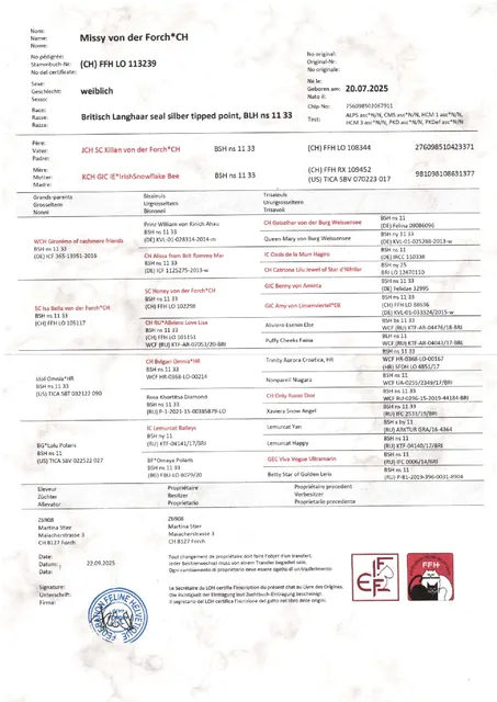 Stammbaum Missy von der Forch